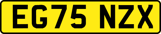 EG75NZX