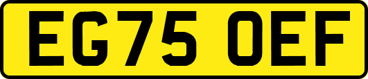 EG75OEF