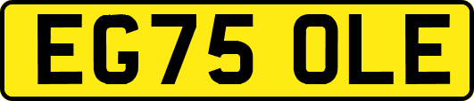 EG75OLE