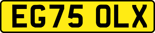 EG75OLX
