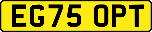 EG75OPT