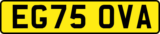EG75OVA