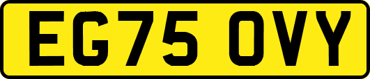 EG75OVY
