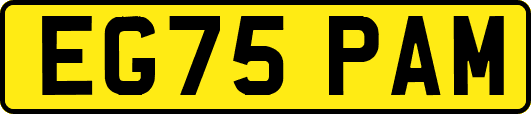 EG75PAM