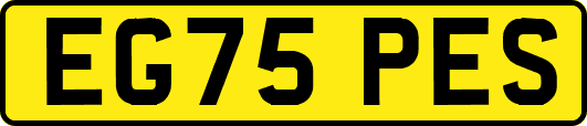 EG75PES