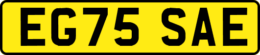 EG75SAE