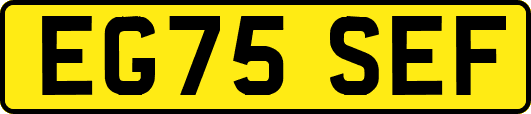 EG75SEF