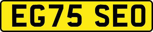 EG75SEO