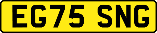 EG75SNG