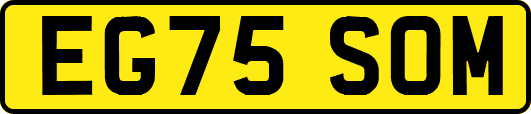 EG75SOM