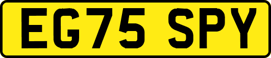 EG75SPY
