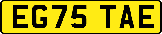 EG75TAE