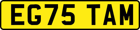 EG75TAM