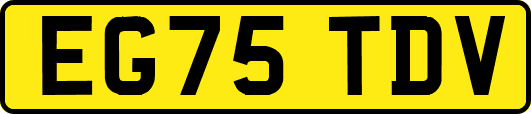 EG75TDV