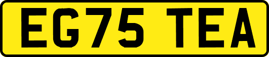 EG75TEA