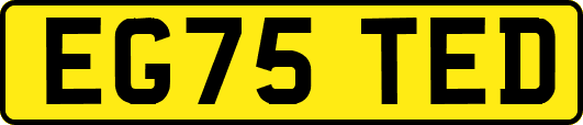 EG75TED
