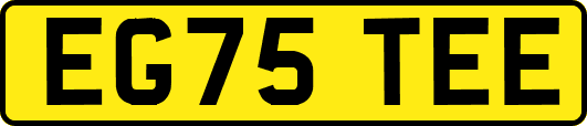 EG75TEE