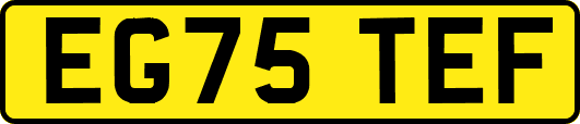 EG75TEF