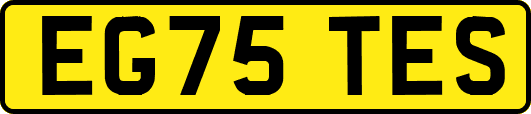 EG75TES