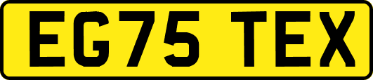 EG75TEX
