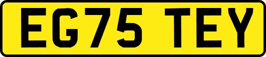 EG75TEY