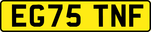 EG75TNF