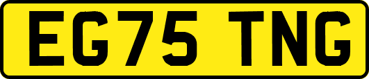 EG75TNG
