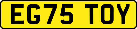 EG75TOY