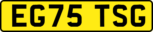 EG75TSG