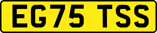 EG75TSS
