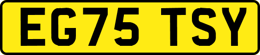 EG75TSY