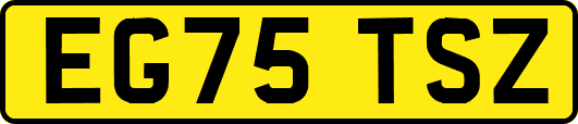 EG75TSZ