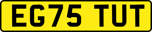 EG75TUT