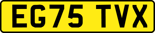 EG75TVX