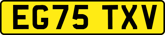 EG75TXV