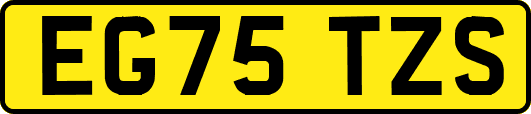 EG75TZS