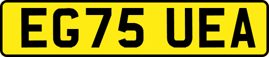 EG75UEA