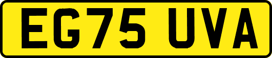 EG75UVA