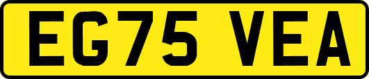 EG75VEA