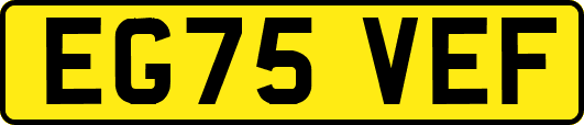 EG75VEF