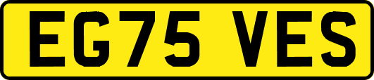 EG75VES