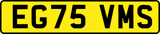 EG75VMS