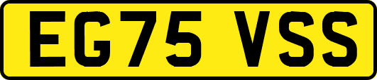 EG75VSS