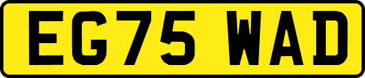 EG75WAD