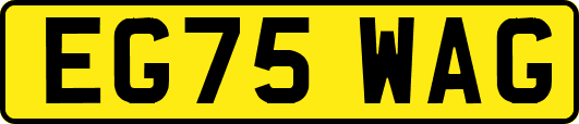 EG75WAG