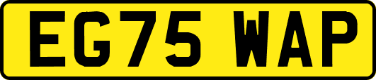 EG75WAP