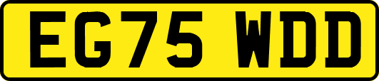 EG75WDD