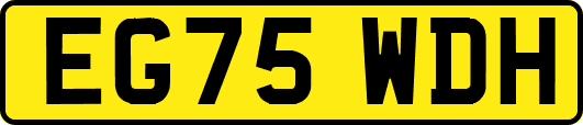 EG75WDH