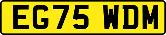EG75WDM