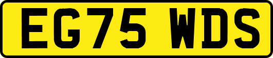 EG75WDS